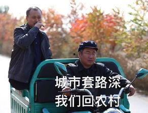 老赖吃瓜,吃瓜群众眼中的“欠债不还”众生相 第1张 老赖吃瓜,吃瓜群众眼中的“欠债不还”众生相 第1张